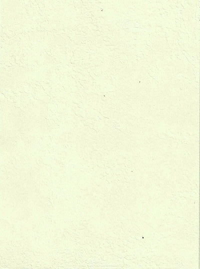 Metallic Plaster - Ivory