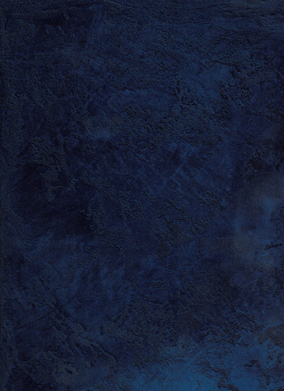 Metallic Plaster - Night Tide