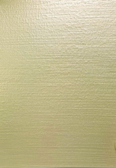 Metallic Paint - White Gold