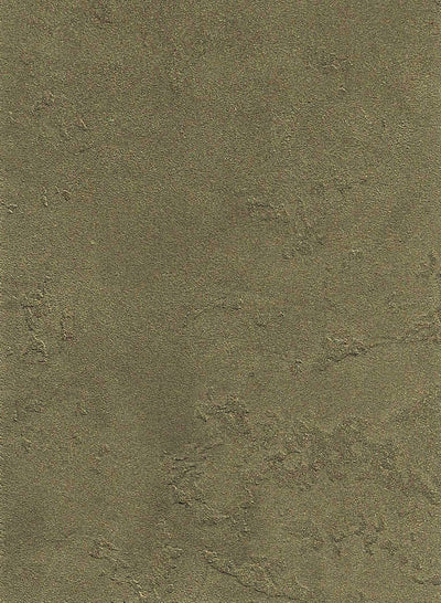 Metallic Plaster - Wishing Well