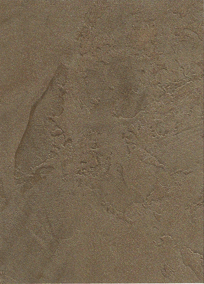 Metallic Plaster - Jackson Hole
