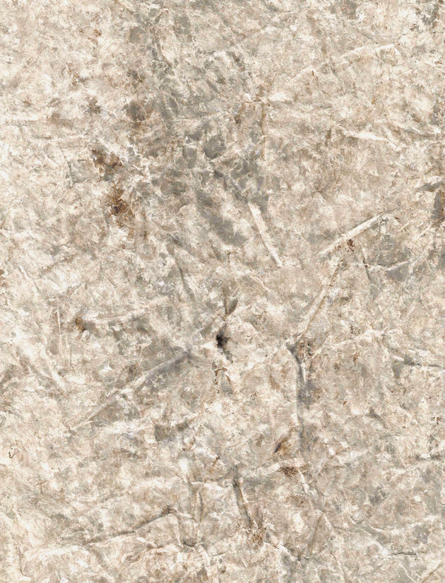 Rescue & Resurface - Desert Trail