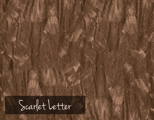 Rescue and Resurface - Scarlet Letter